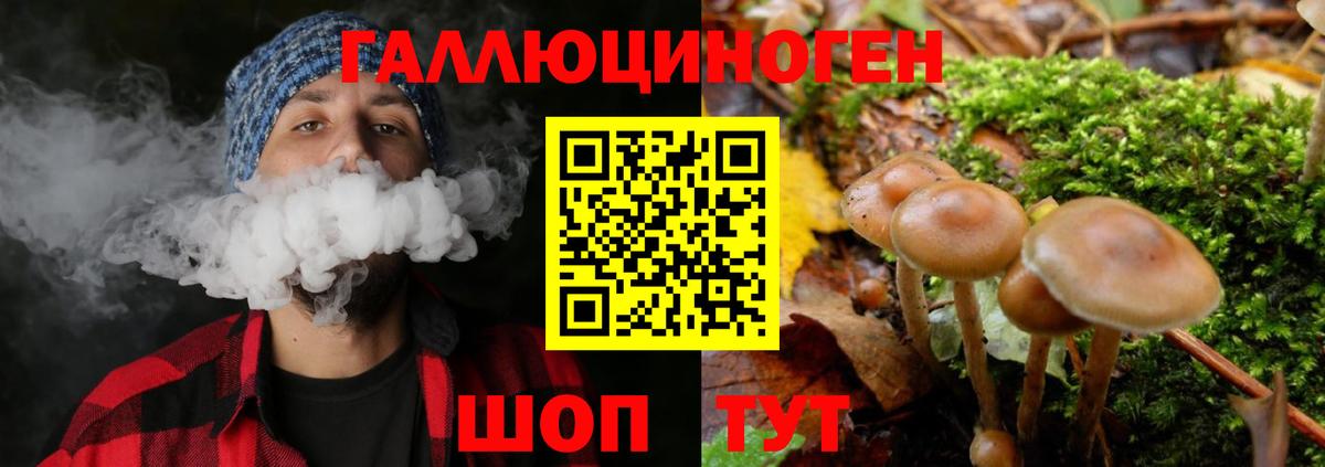 Йошкар-Ола  Псилоцибиновые грибы Psilocybine cubensis  Вход с VPN 